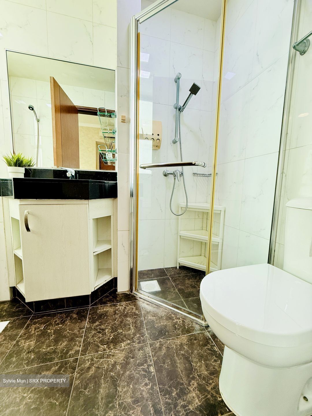 Bishan Loft (D20), Condominium #618024041
